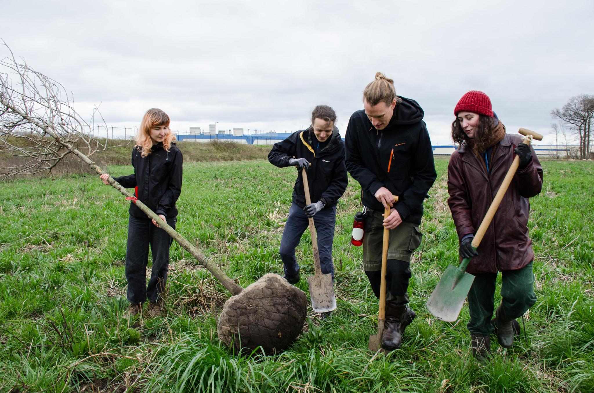 Actievoerders zoeken naar verdwenen boompjes VDL Nedcar