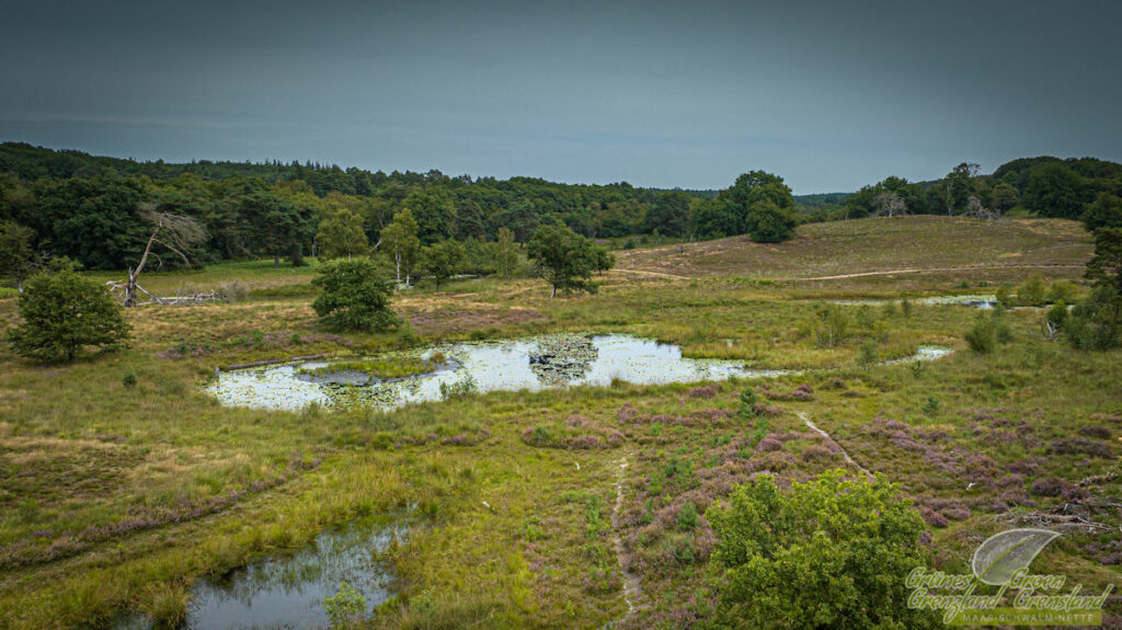 Zorgen over stikstofuitstoot bij Nationaal Park De Meinweg