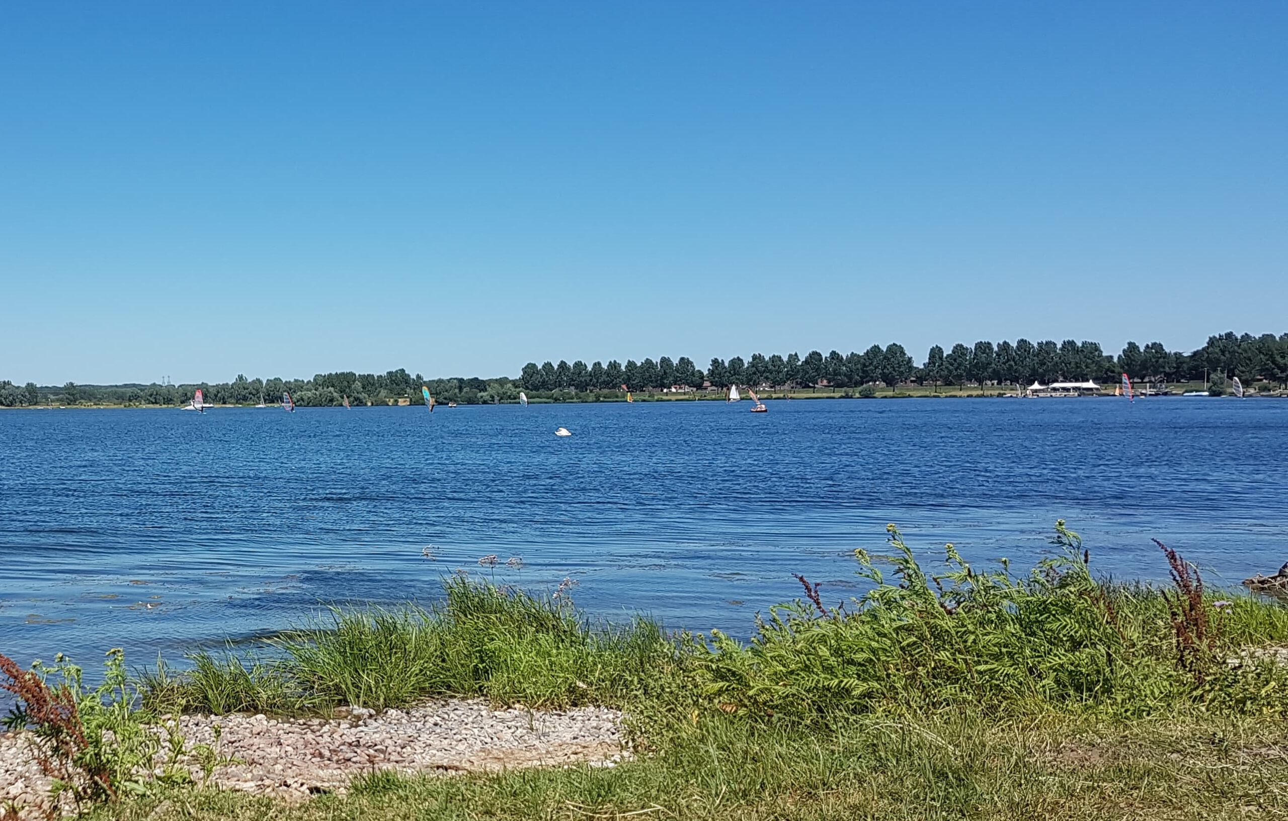 Gemeente test deze zomer tijdelijk parkeerverbod rond Oolderplas na klachten